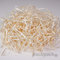 Drevitá vlna breza 1000g - drevita-vlna-breza